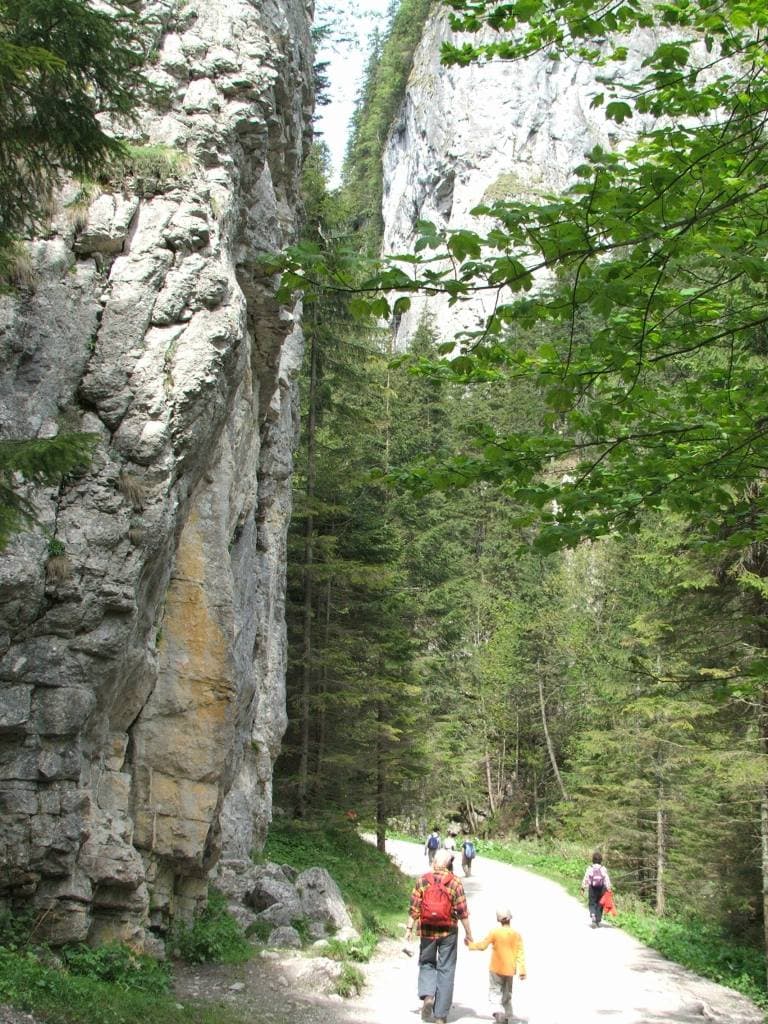 Vallée de la Kościeliska