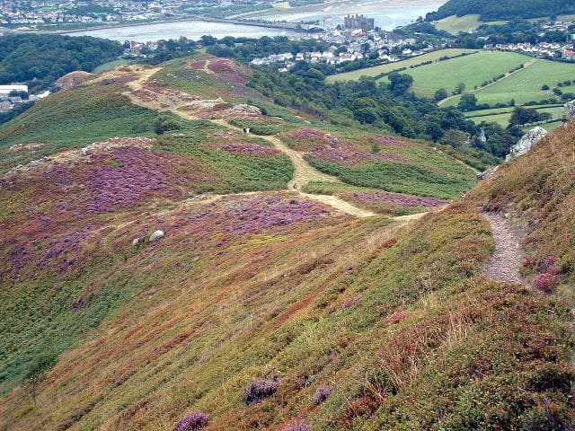 Conwy Mountain (Mynydd y Dref)