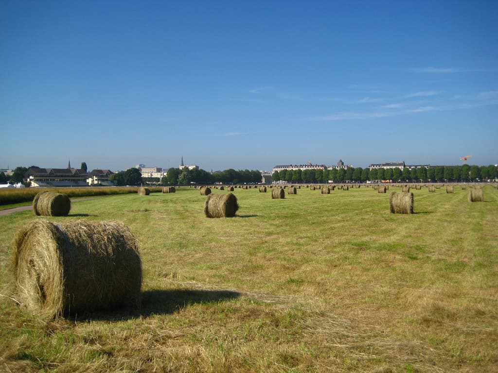 Prairie de Caen