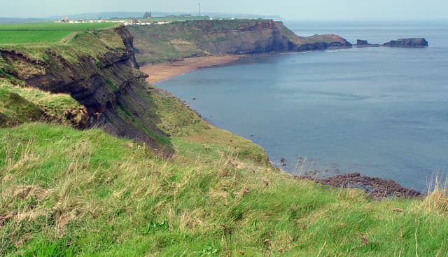 Saltwick Bay