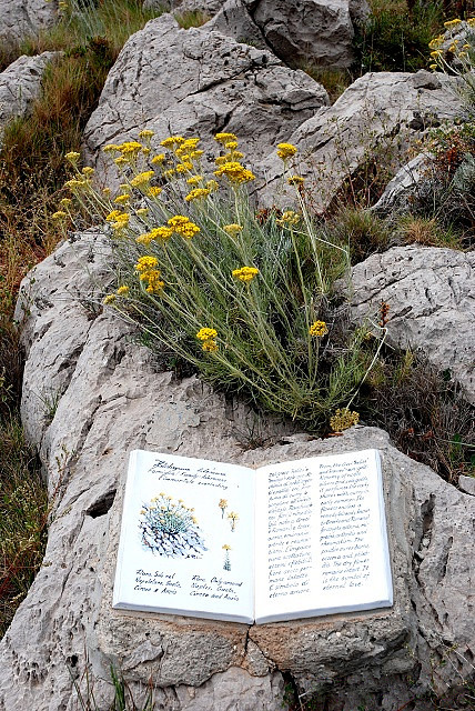 Sentiero dei Fortini