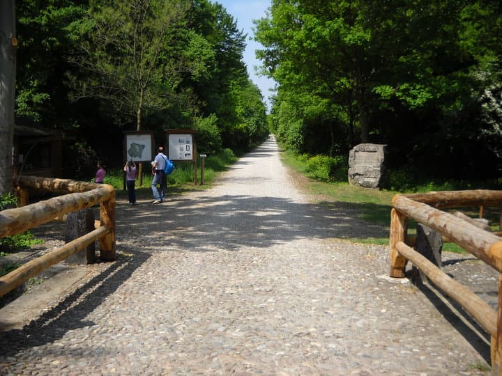 Riserva Naturale Bosco Fontana