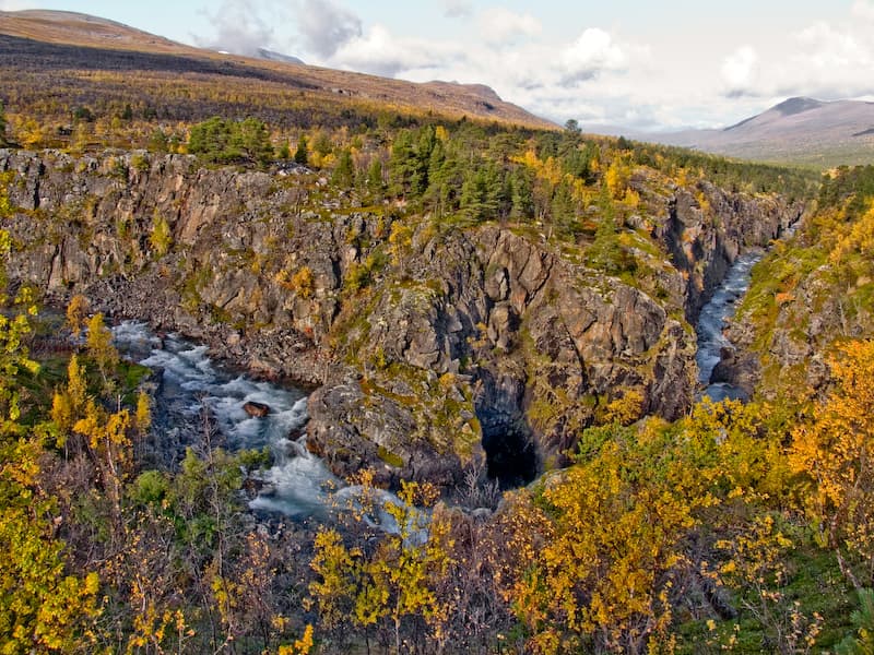 Parque Nacional de Øvre Dividal (acceso desde Tromsø)