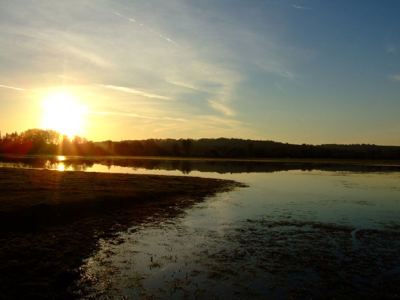 Port Meadow