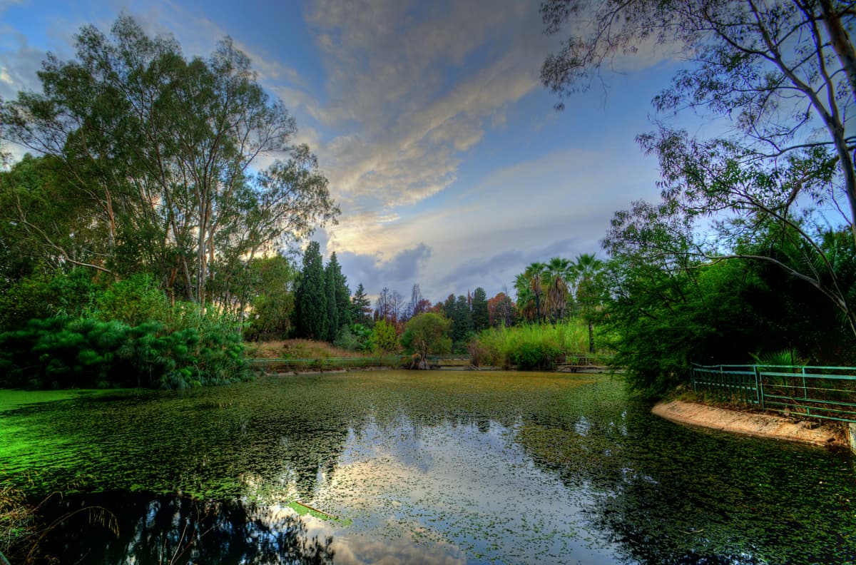 Fiume Ciane e Papireto