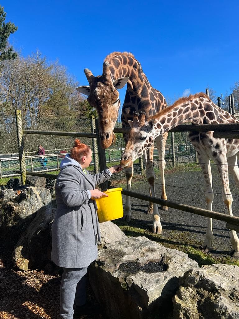 Folly Farm Adventure Park & Zoo
