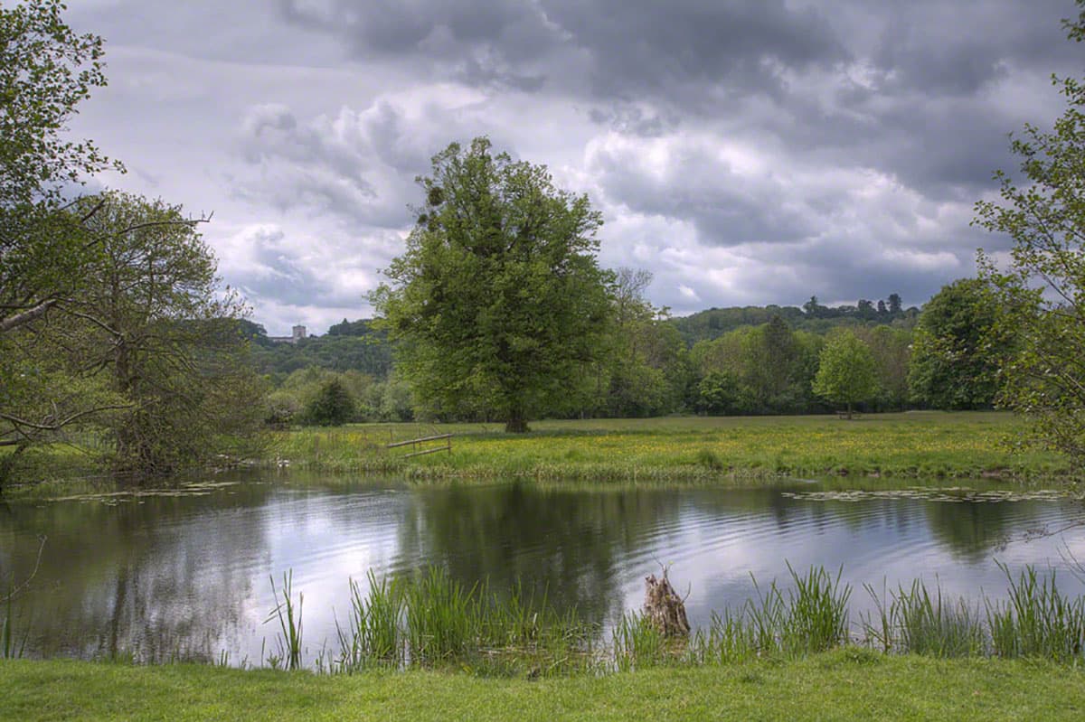 Runnymede Meadows