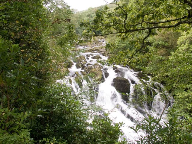 Swallow Falls (Rhaeadr Ewynnol)