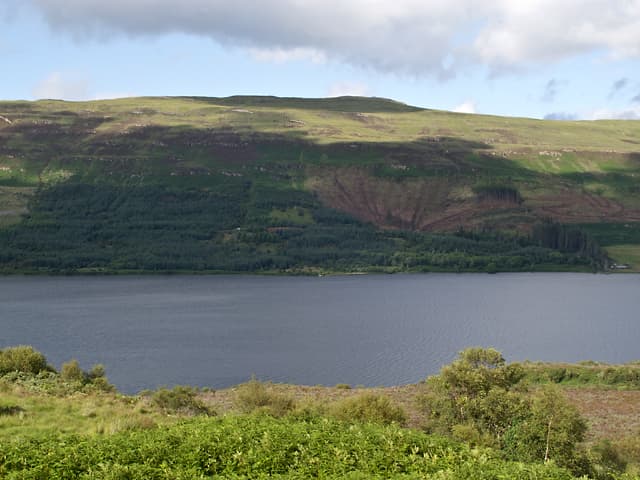 Mull Eagle Watch, Loch Frisa