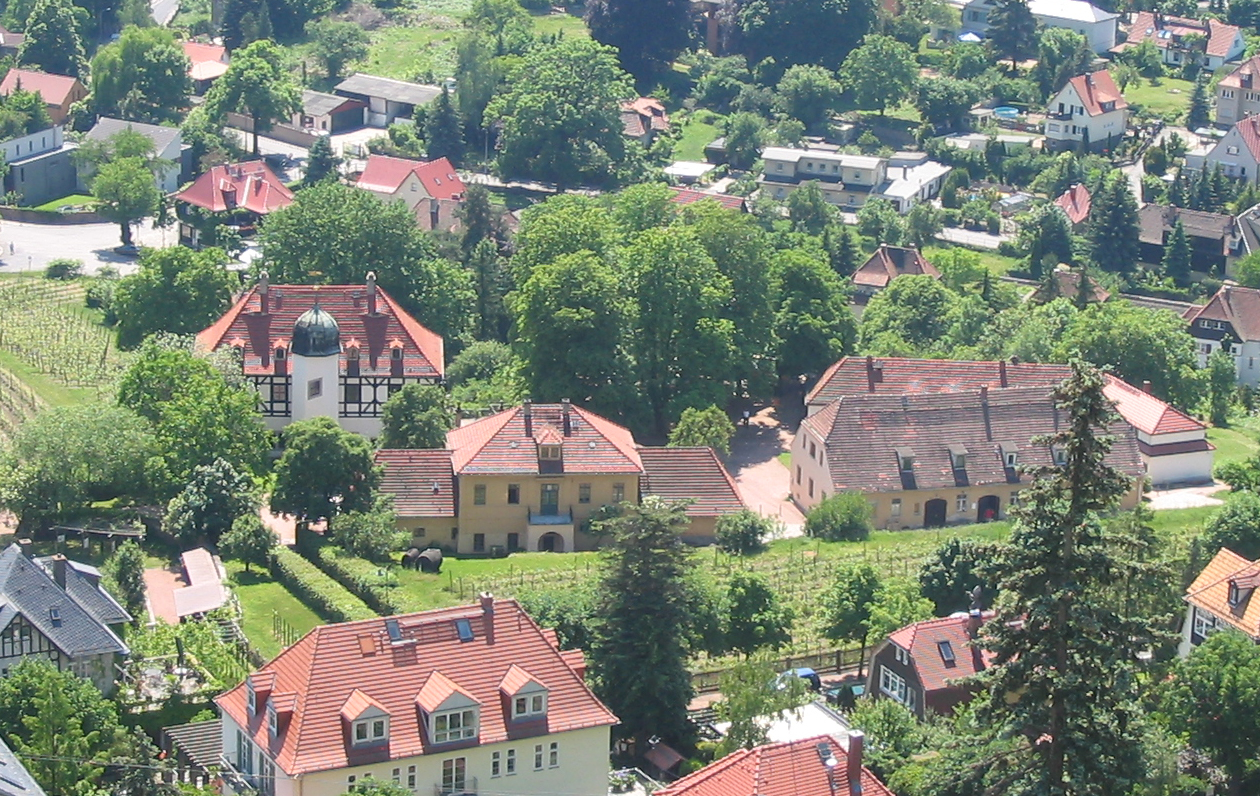 Weinberg Hoflössnitz – Radebeul