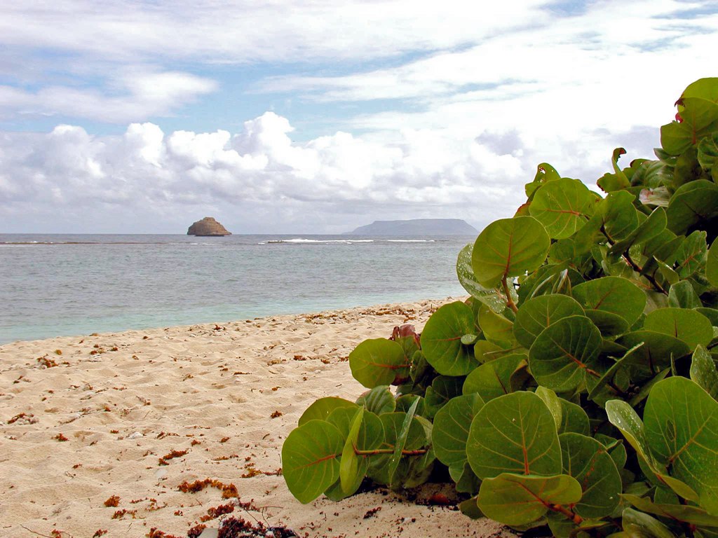 Plage de l'Anse à la Gourde