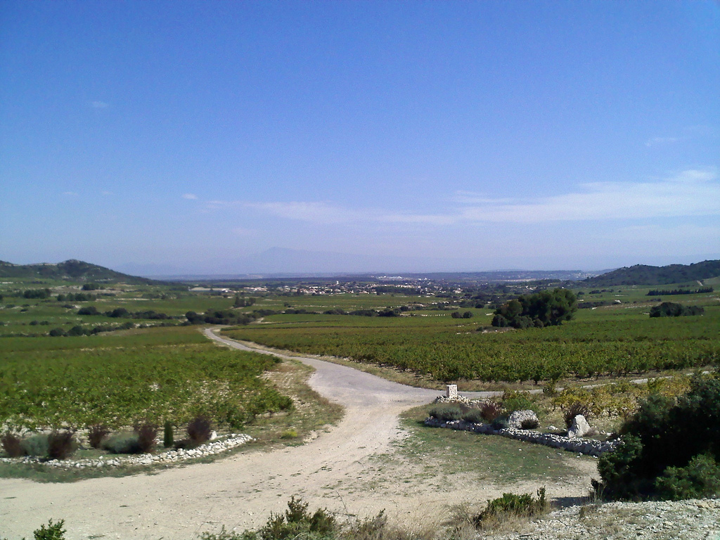 Domaine de la Mordorée – Cave à Tavel