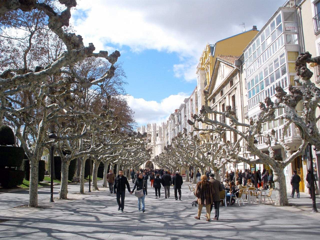 Paseo del Espolón