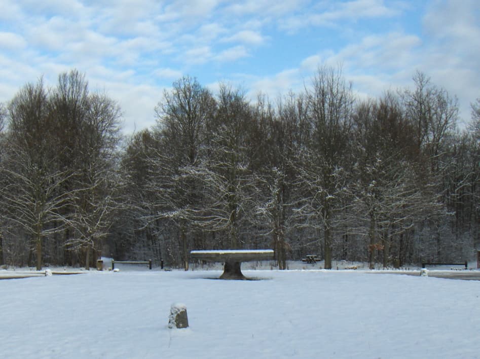 Forêt de Chantilly – Sentier des Étangs