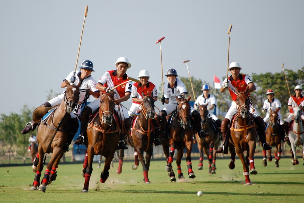 Polo Club de Deauville