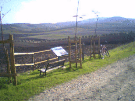 Ruta Arqueológica en Bicicleta