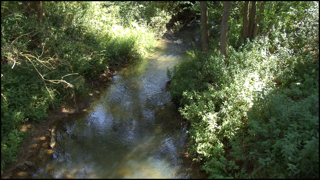 Vallée de la Vire à Virton