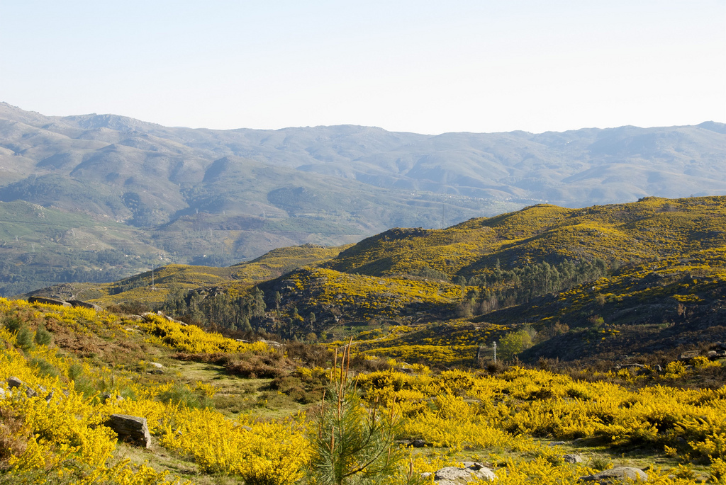 Serra de Sintra — Trilho da Pedra Amarela