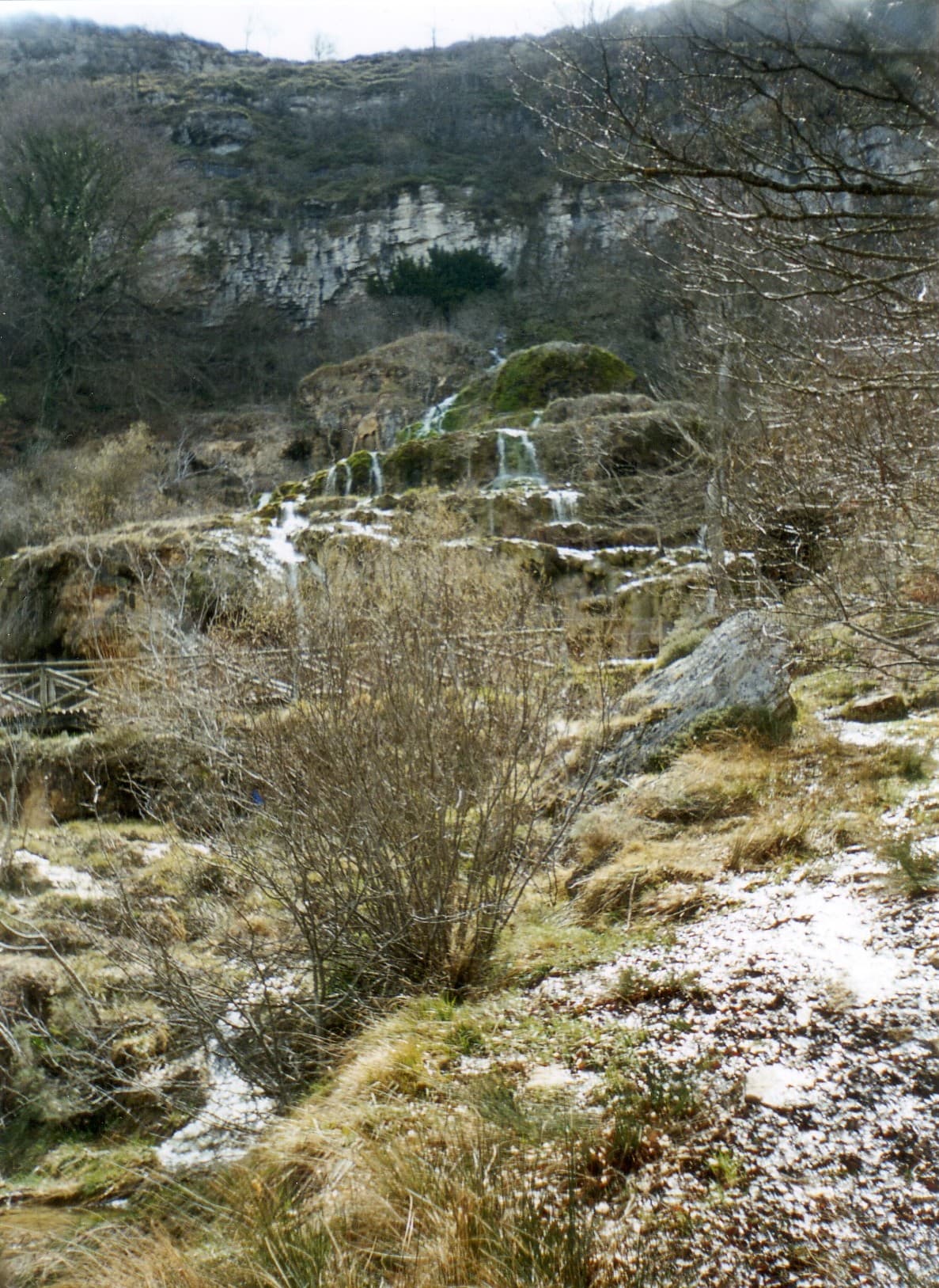 Mirador del Tomillar