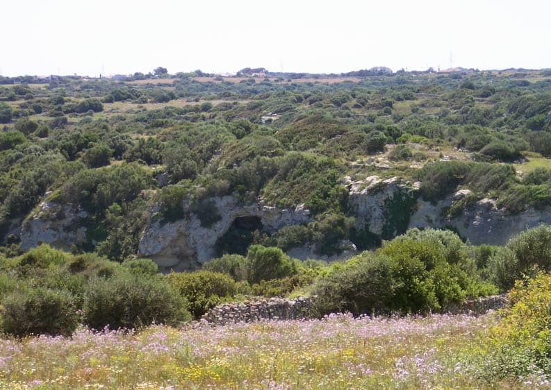 Barranc d'Algendar