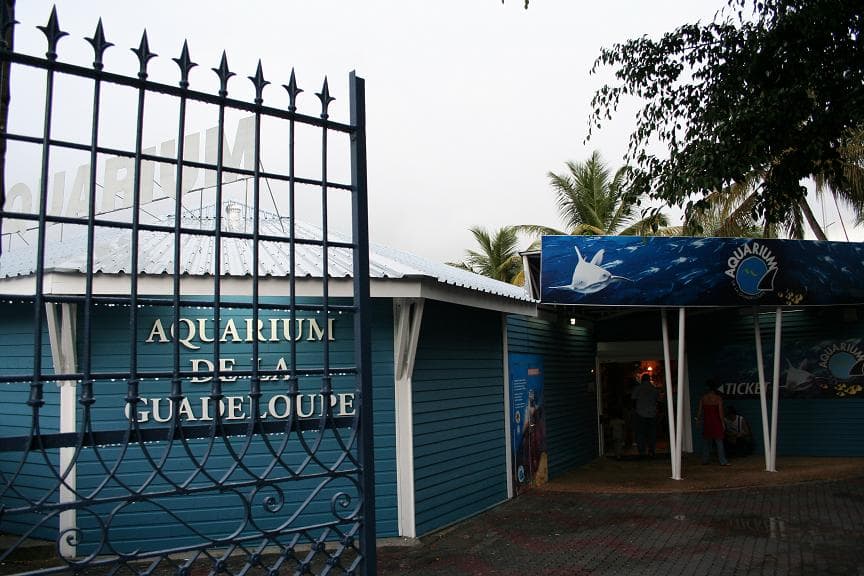Aquarium de la Guadeloupe
