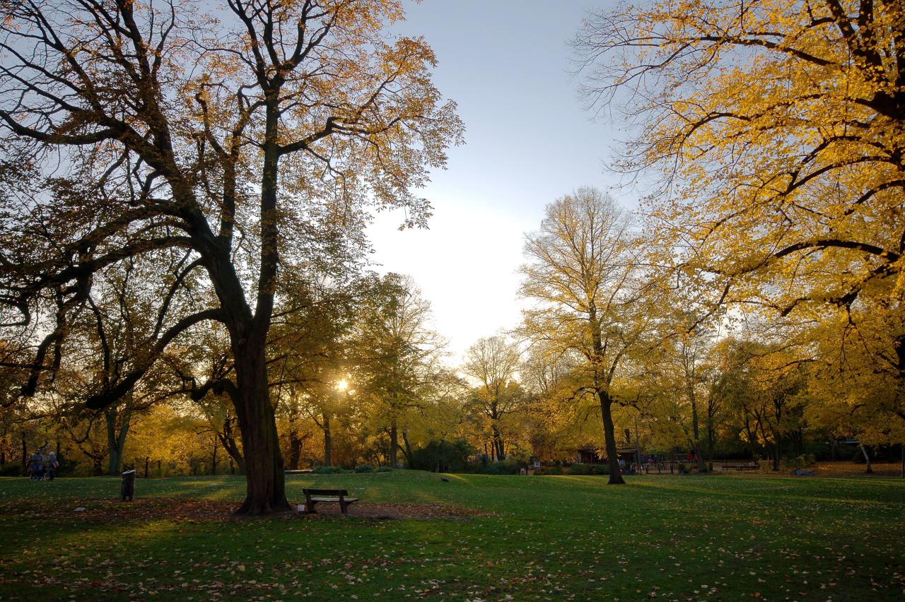 Sternschanzenpark — Wasserturm