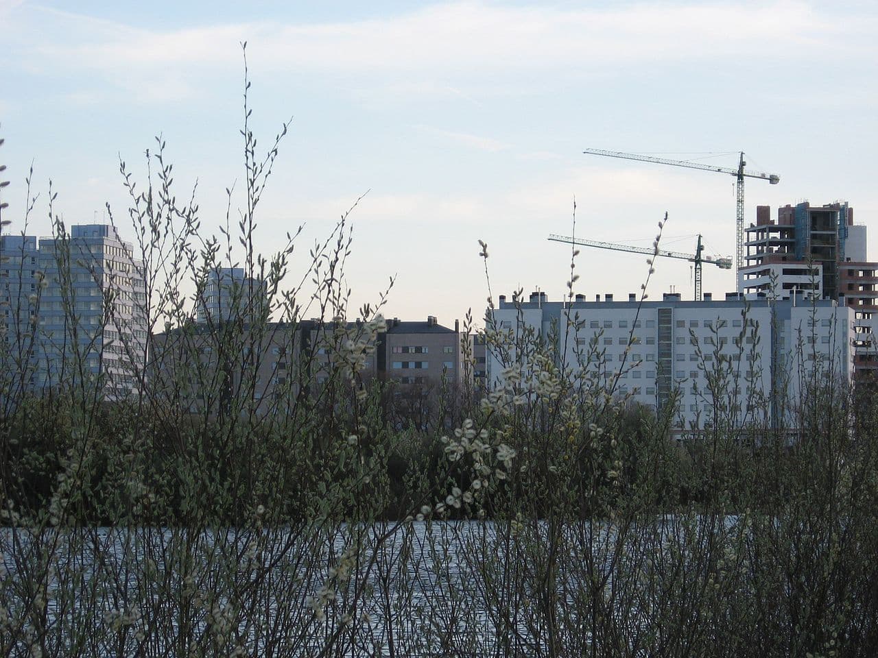 Parque de Salburua
