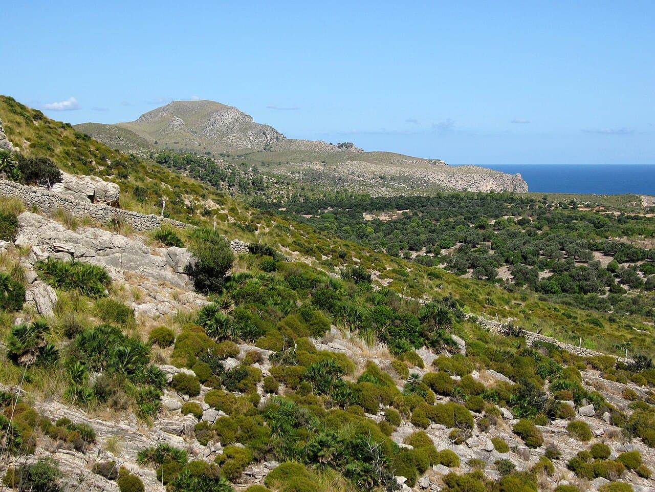 Parque Natural de la Península de Llevant