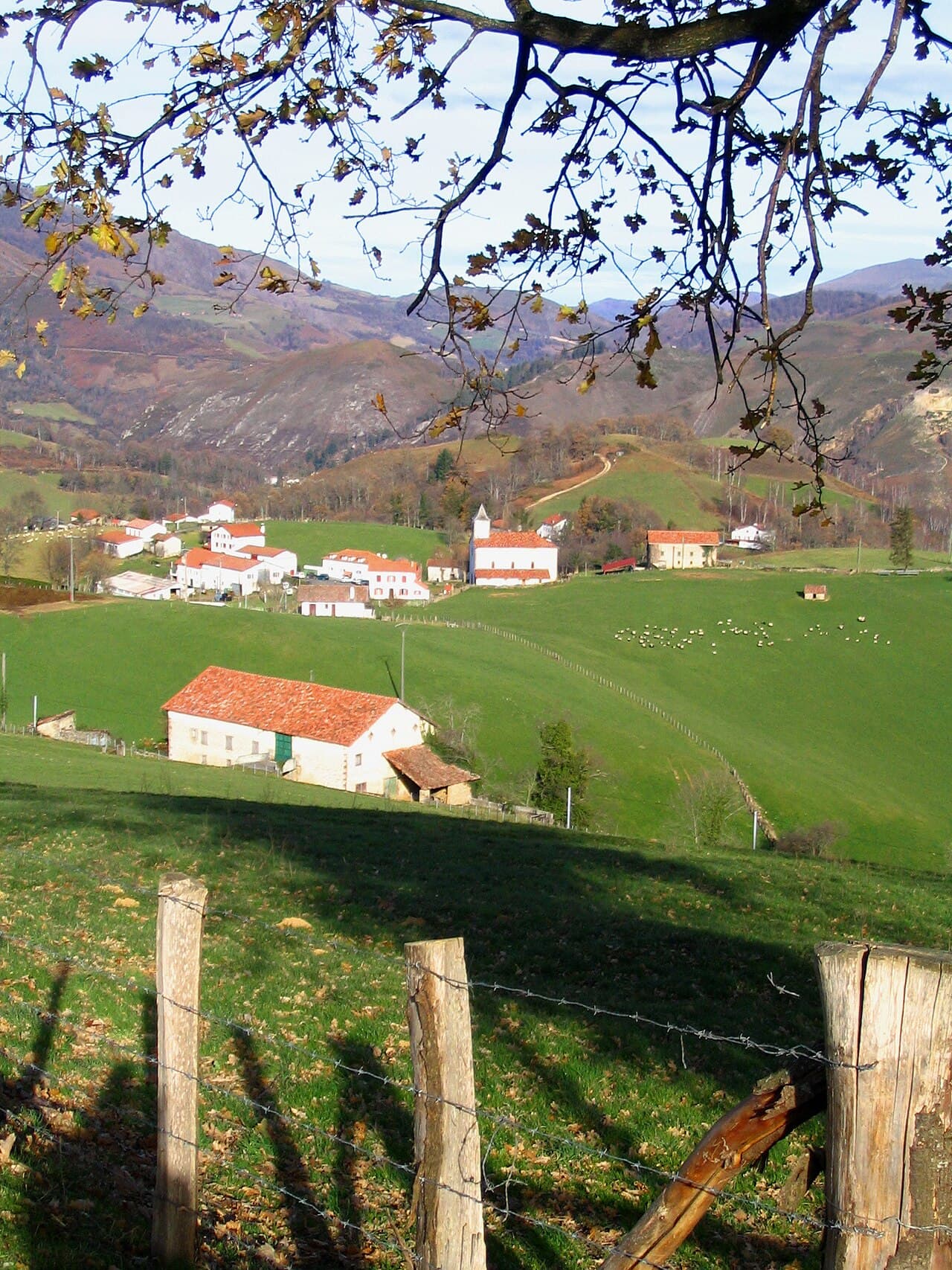 Vignobles de Rača