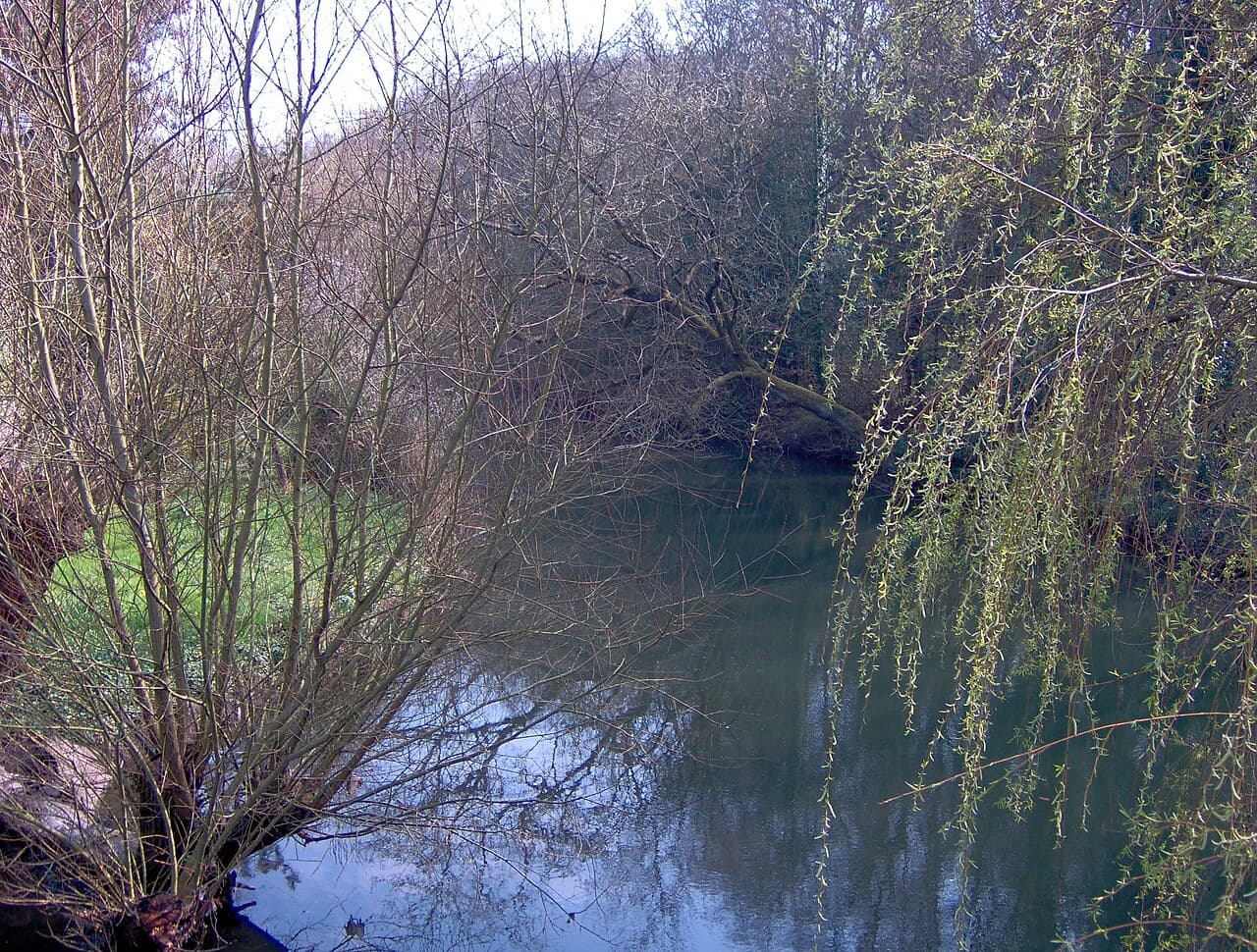 Snuff Mills & River Frome Valley