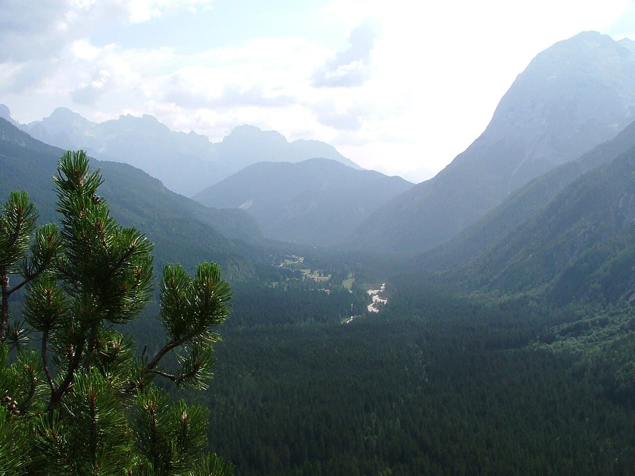 Foresta di Somadida
