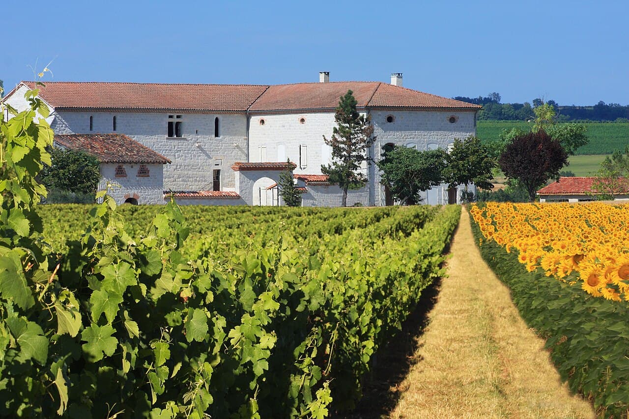 Vignoble de Gaillac – Route des vins autour de Cordes