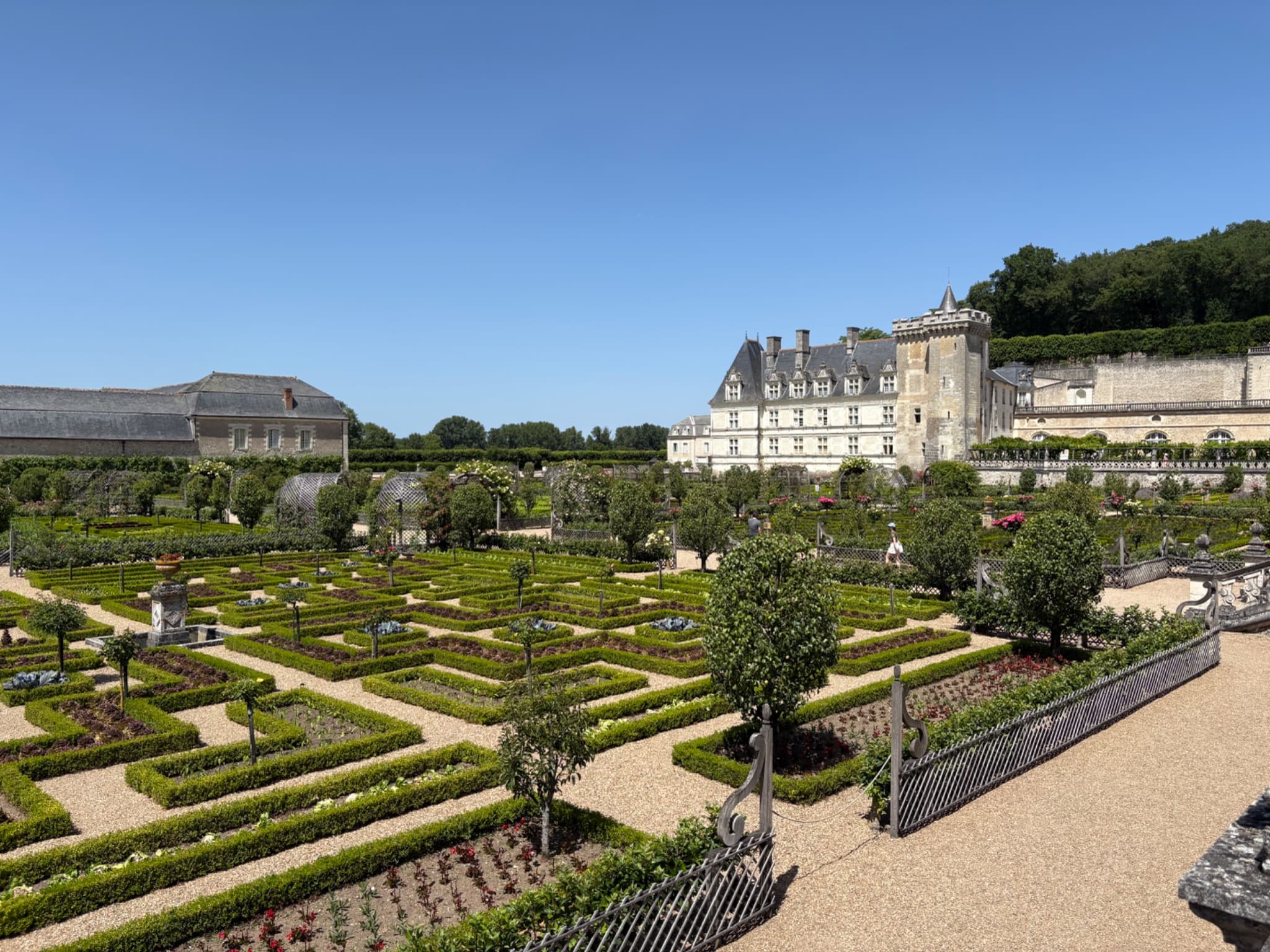 Château de Villandry - Jardin du Soleil