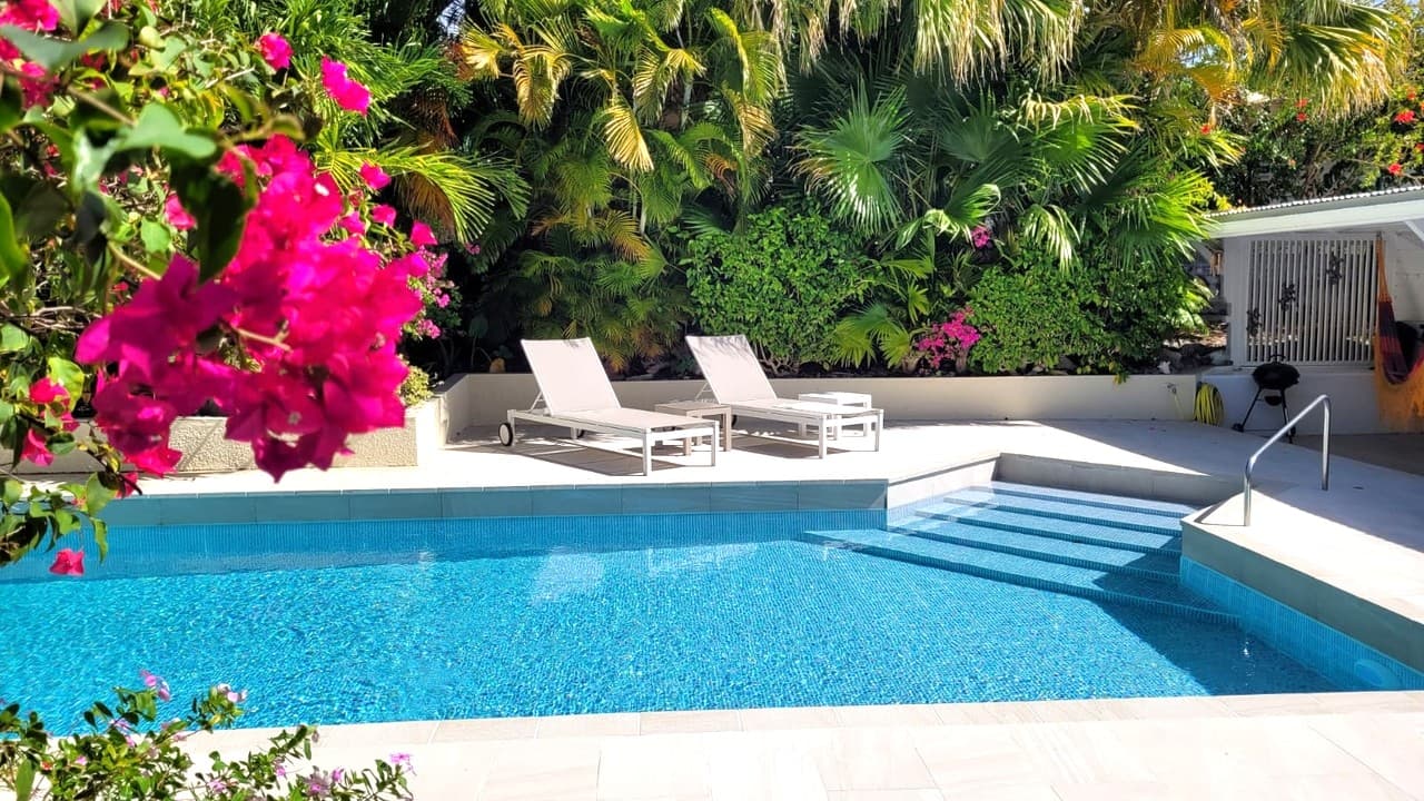 WhatsApp Image 2025-08