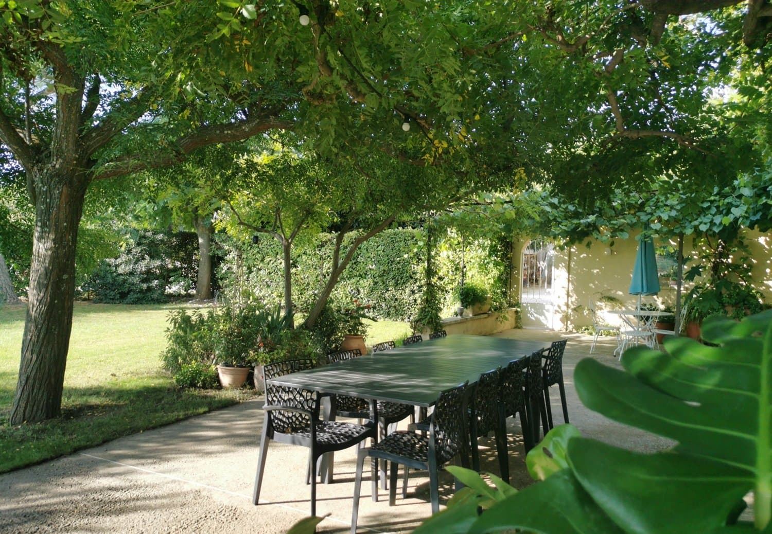 Terrasse (4)