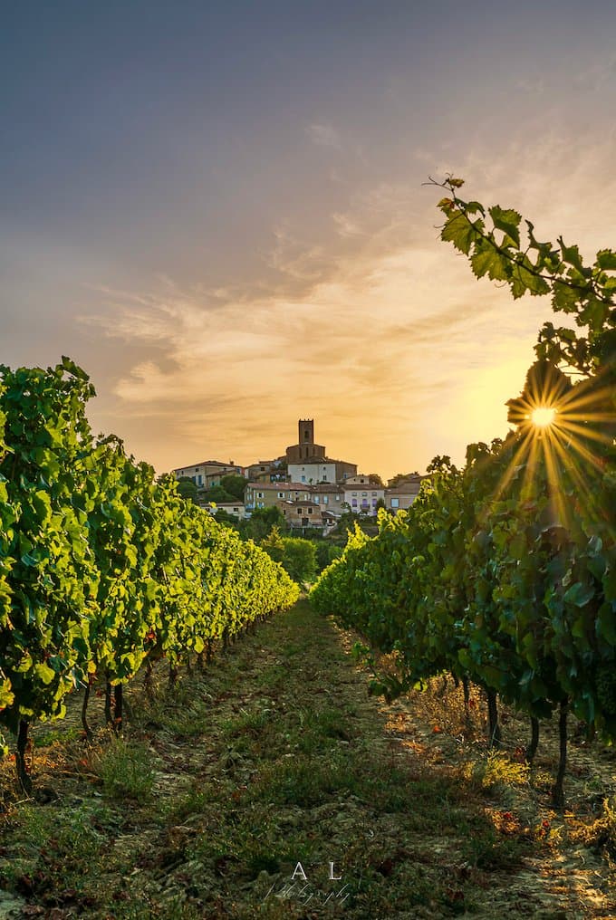 vue du village de Villelongue d'Aude, à travers les vignes