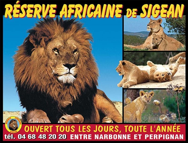 reserve-africaine-de-sigean