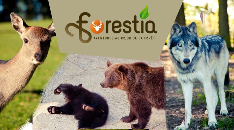 forestia