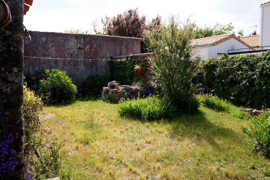 DSC08739